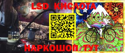 прущие грибы Ярославль