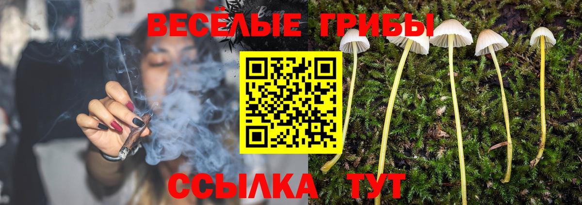 Галлюциногенные грибы мухоморы Белогорск