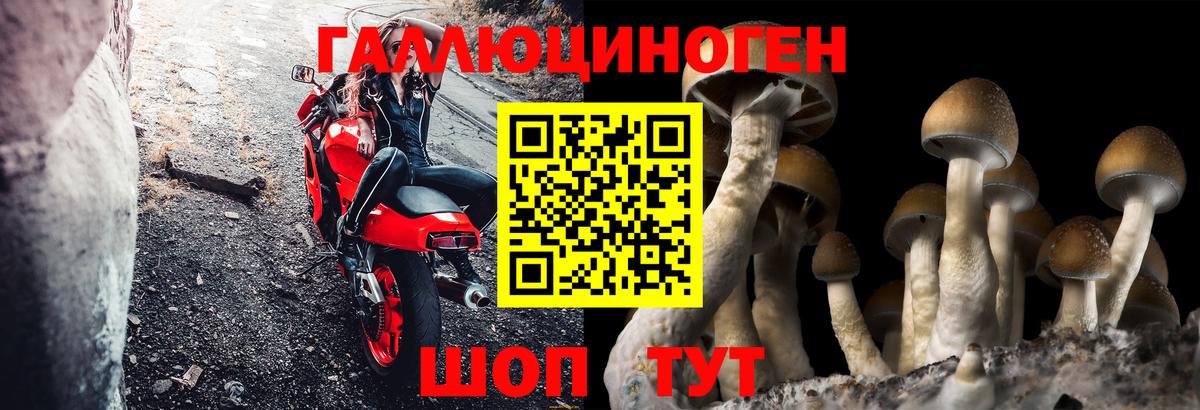 купить наркоту  Вход с VPN  Белогорск  Галлюциногенные грибы Cubensis 